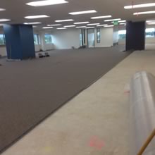 Molina office flooring